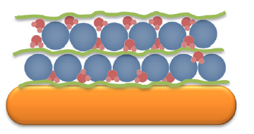 biofilm